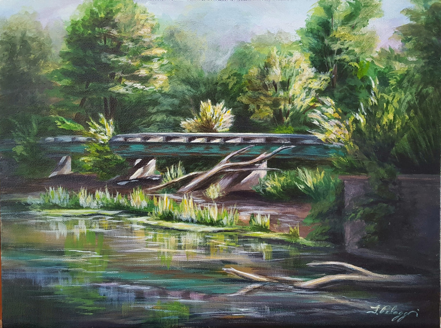 Abandoned RR Bridge