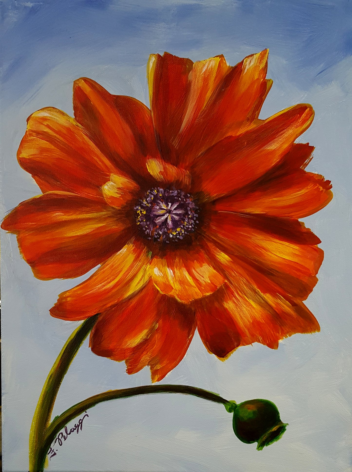Poppy