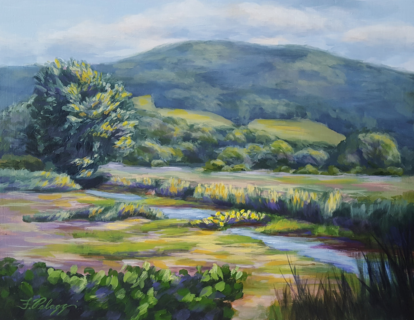 Sunlit Valley